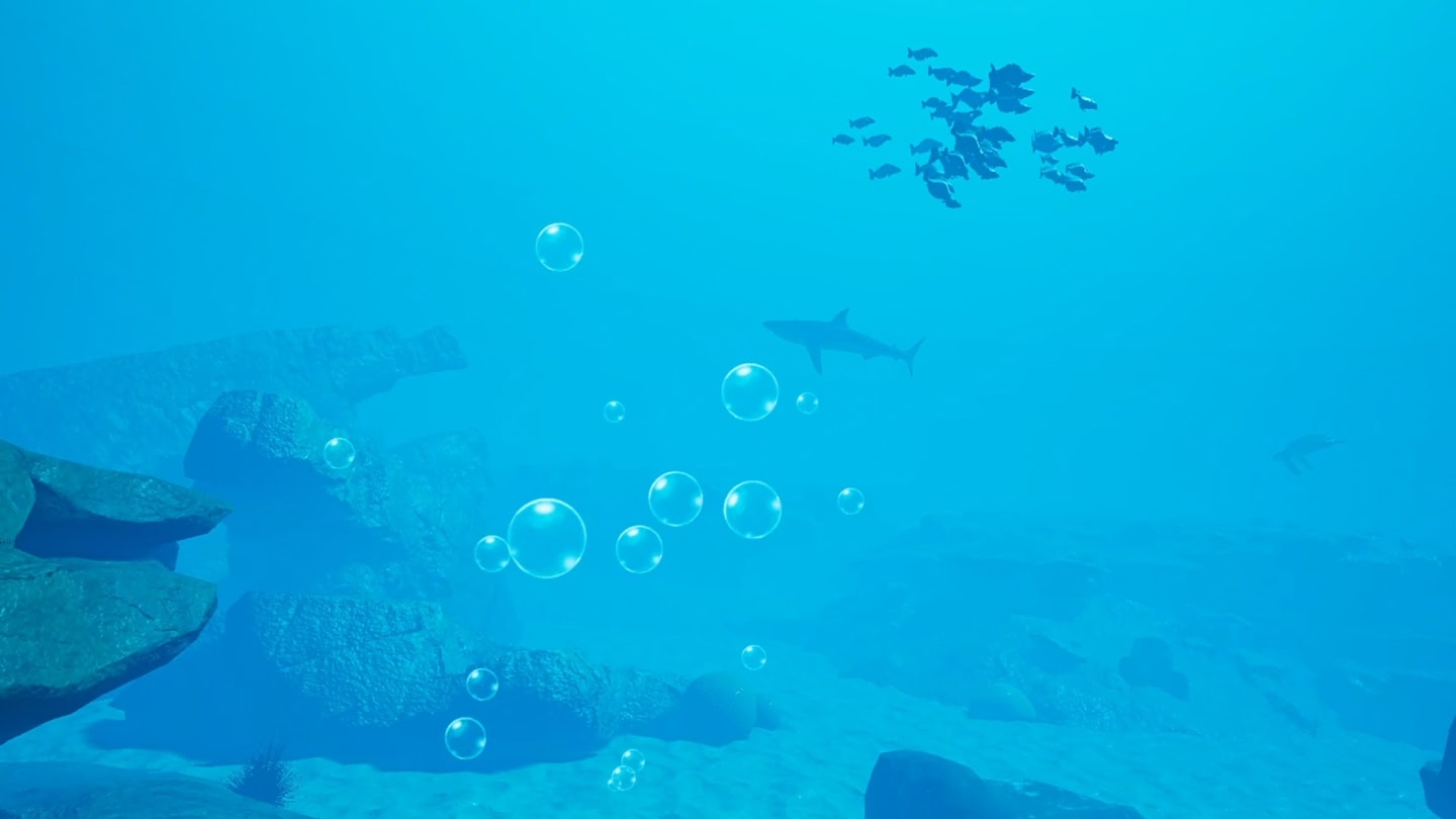 #4. How to Rescue a Reef LITE (Meta) 由: Rescue a Reef program