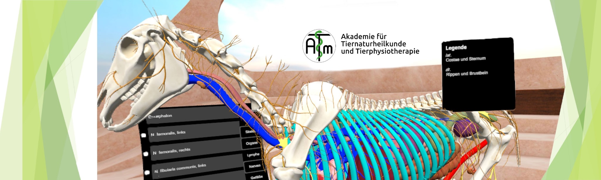 لقطات (6) ATM Academy