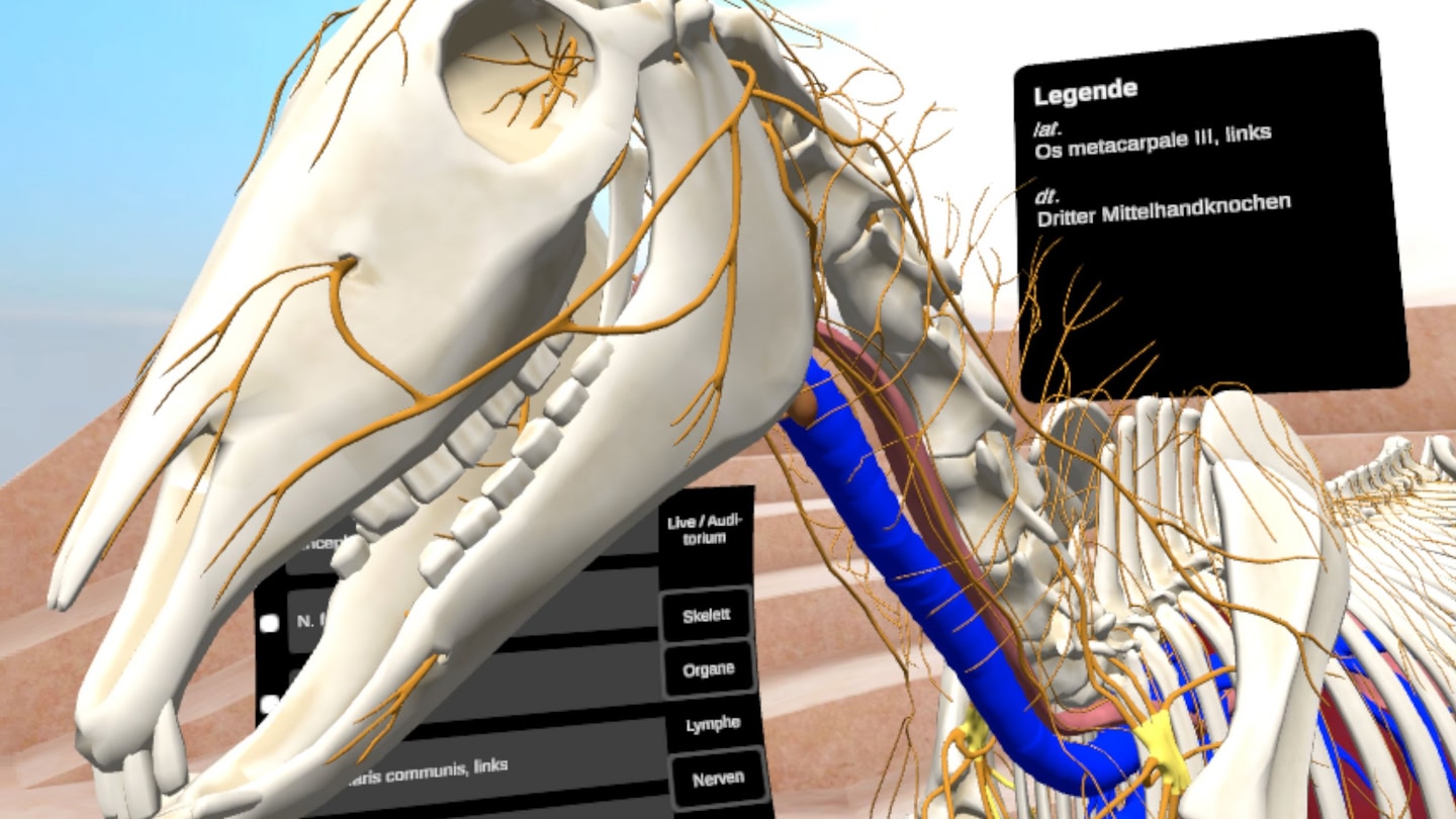 #4. ATM Academy (Meta) 来自: CLT GmbH