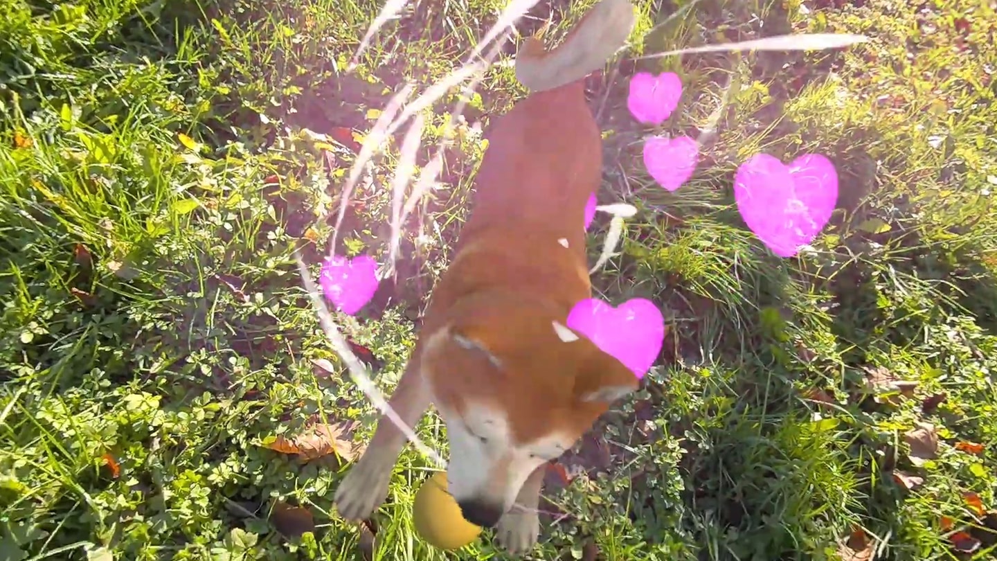 #6. MyPetXR (Meta) 由: Metagate Studio