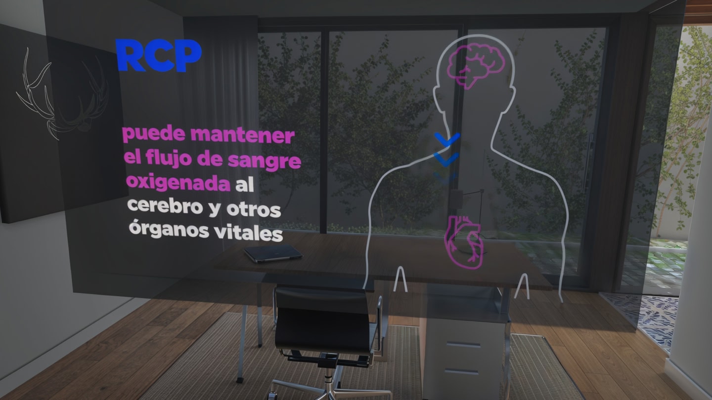 #4. RCP VR (Meta) 게시자: Soukai