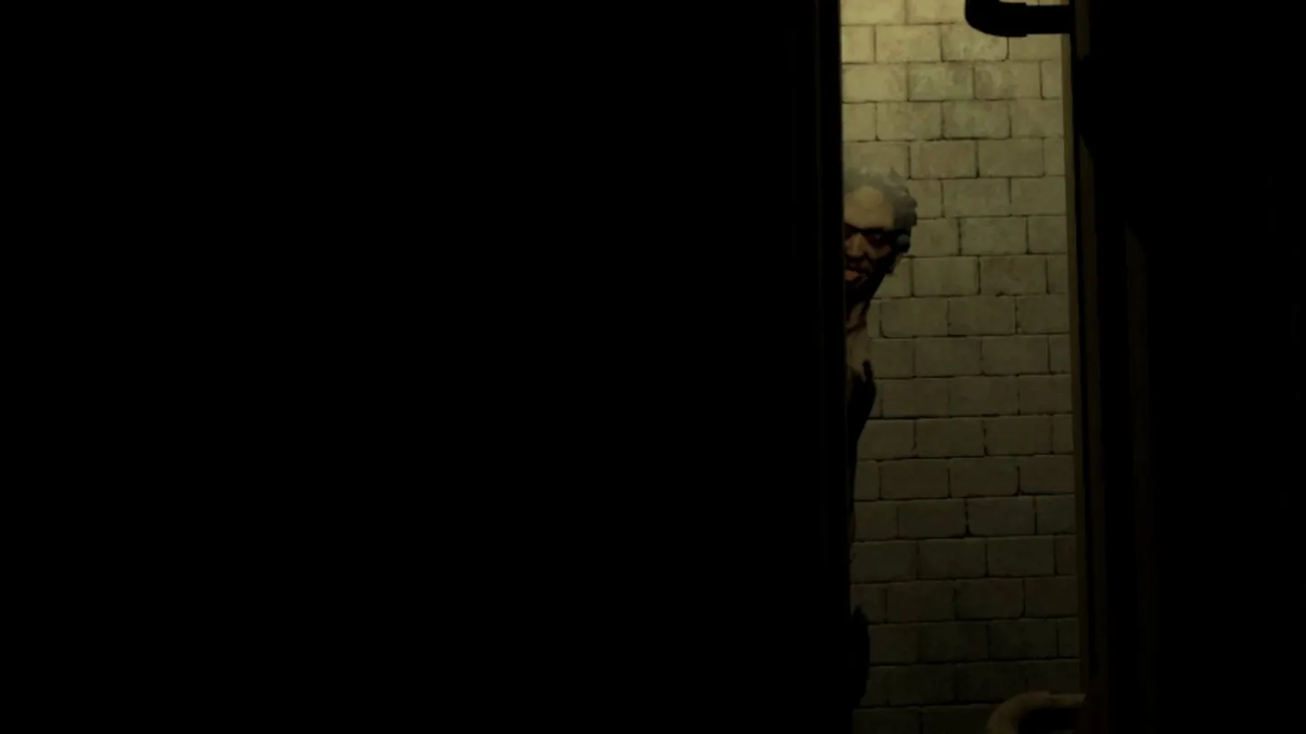 #4. MADiSON (Meta) Ved: Perpetual Europe Ltd